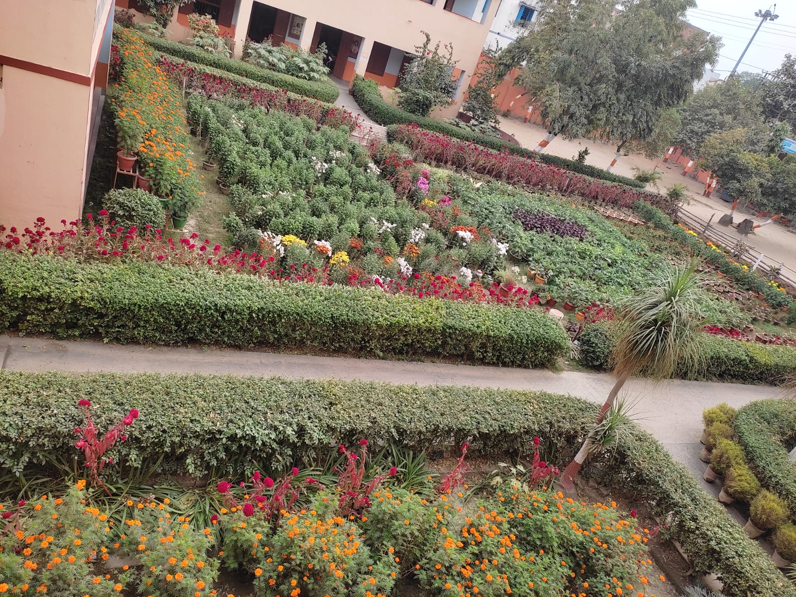 Scenic View
